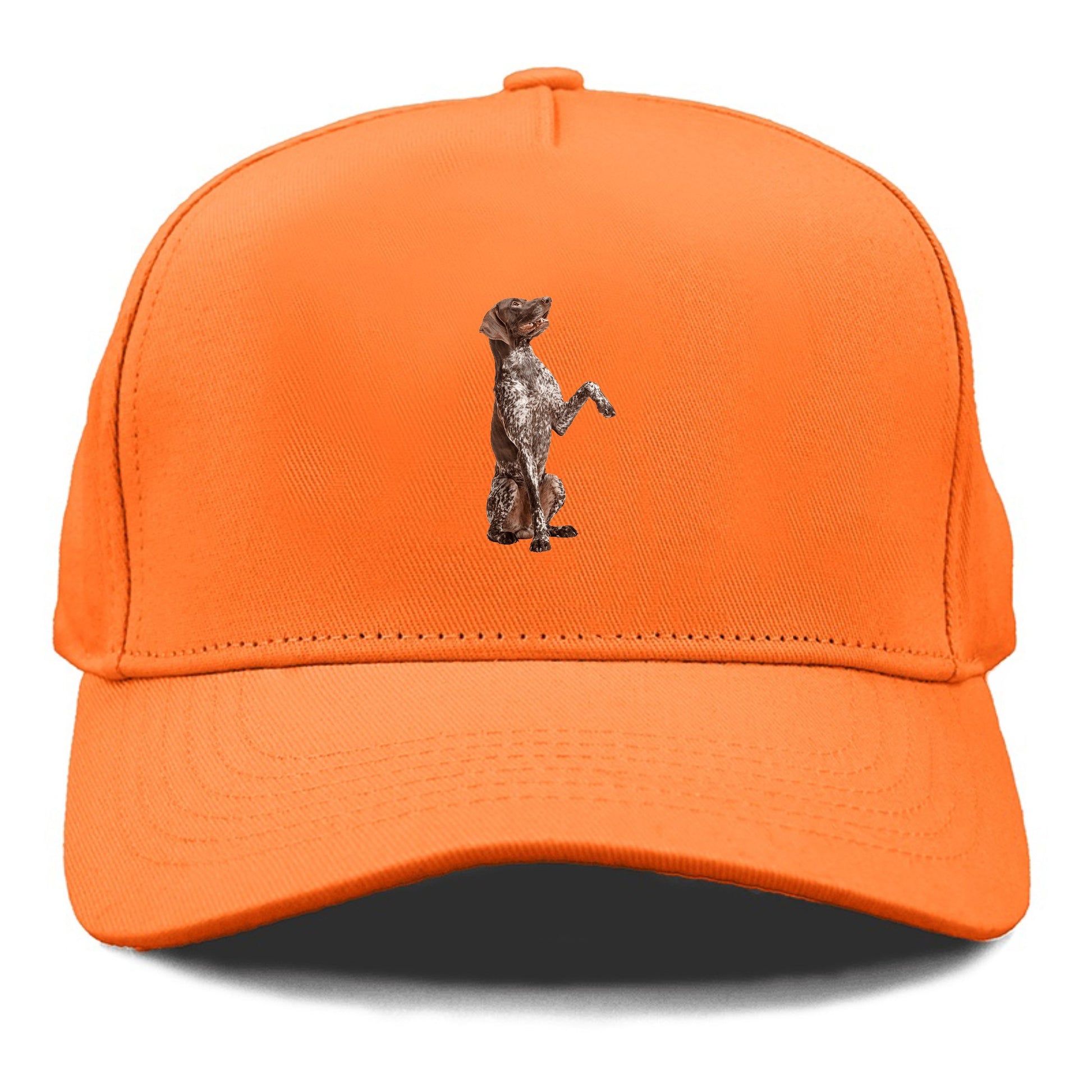 German Shorthaired Pointer Hat