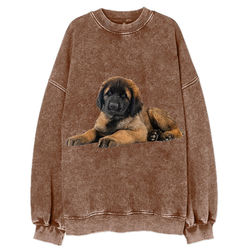 Leonberger Vintage Sweatshirt