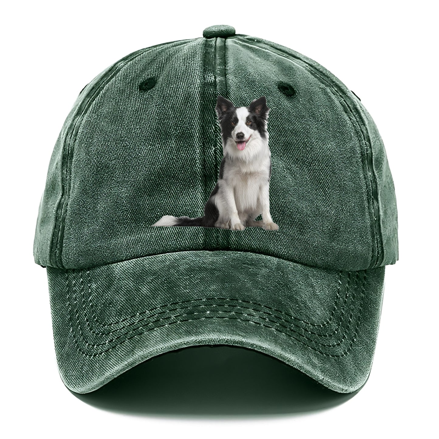 Border Collie Hat