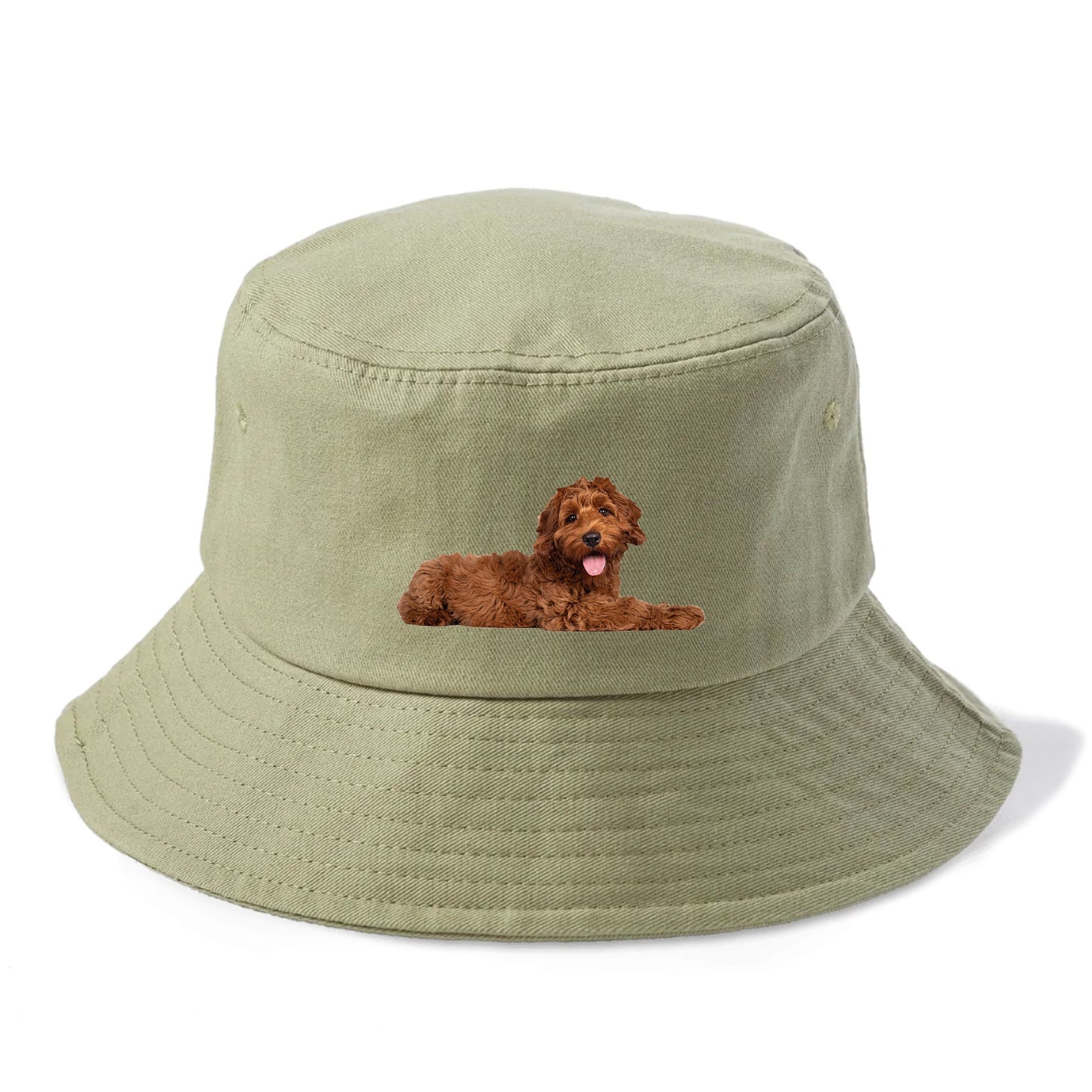 Labradoodle laying down Hat