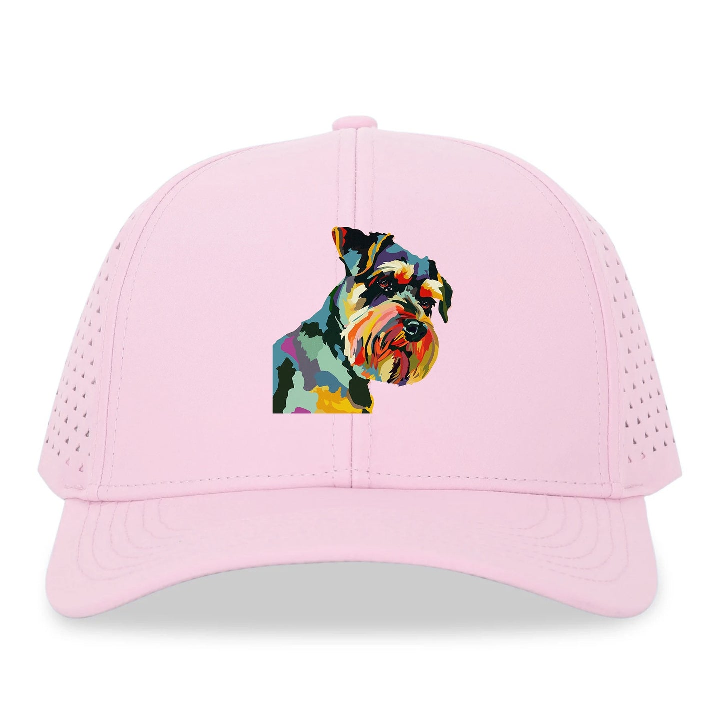 Colorful Canine Charm Hat