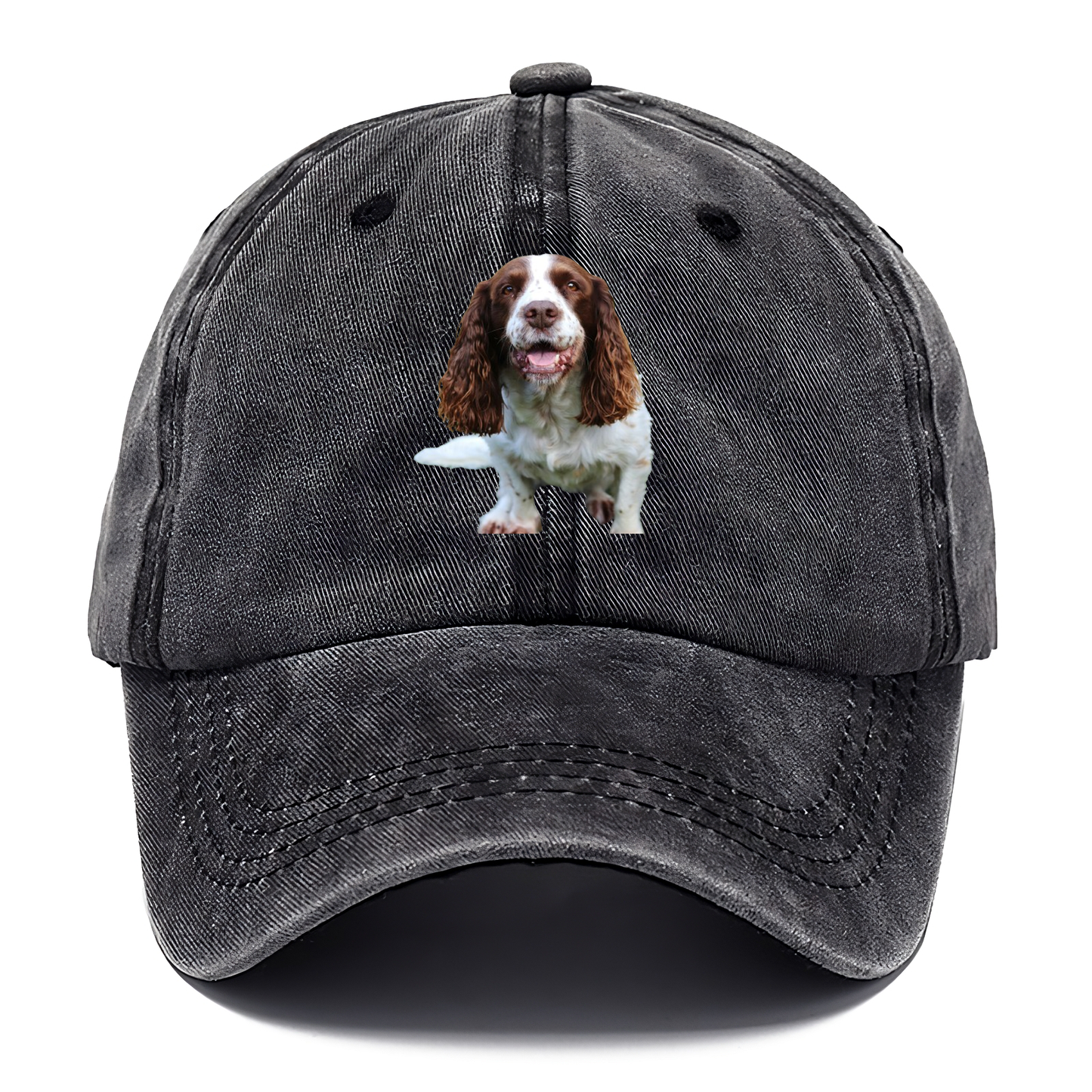 Springer Spaniel Classic Cap