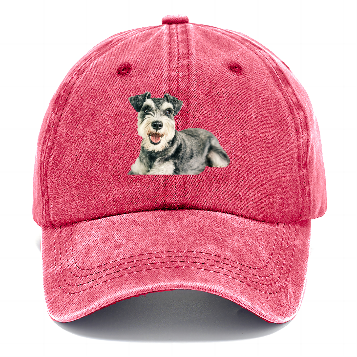 Gorra Schnauzer Clásica