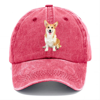 Welsh Corgi Owner Owner Classic cap