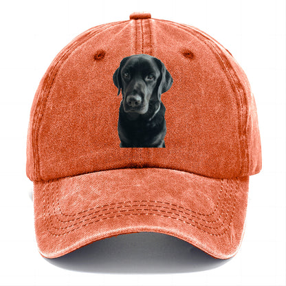 Black Labrador Classic Cap