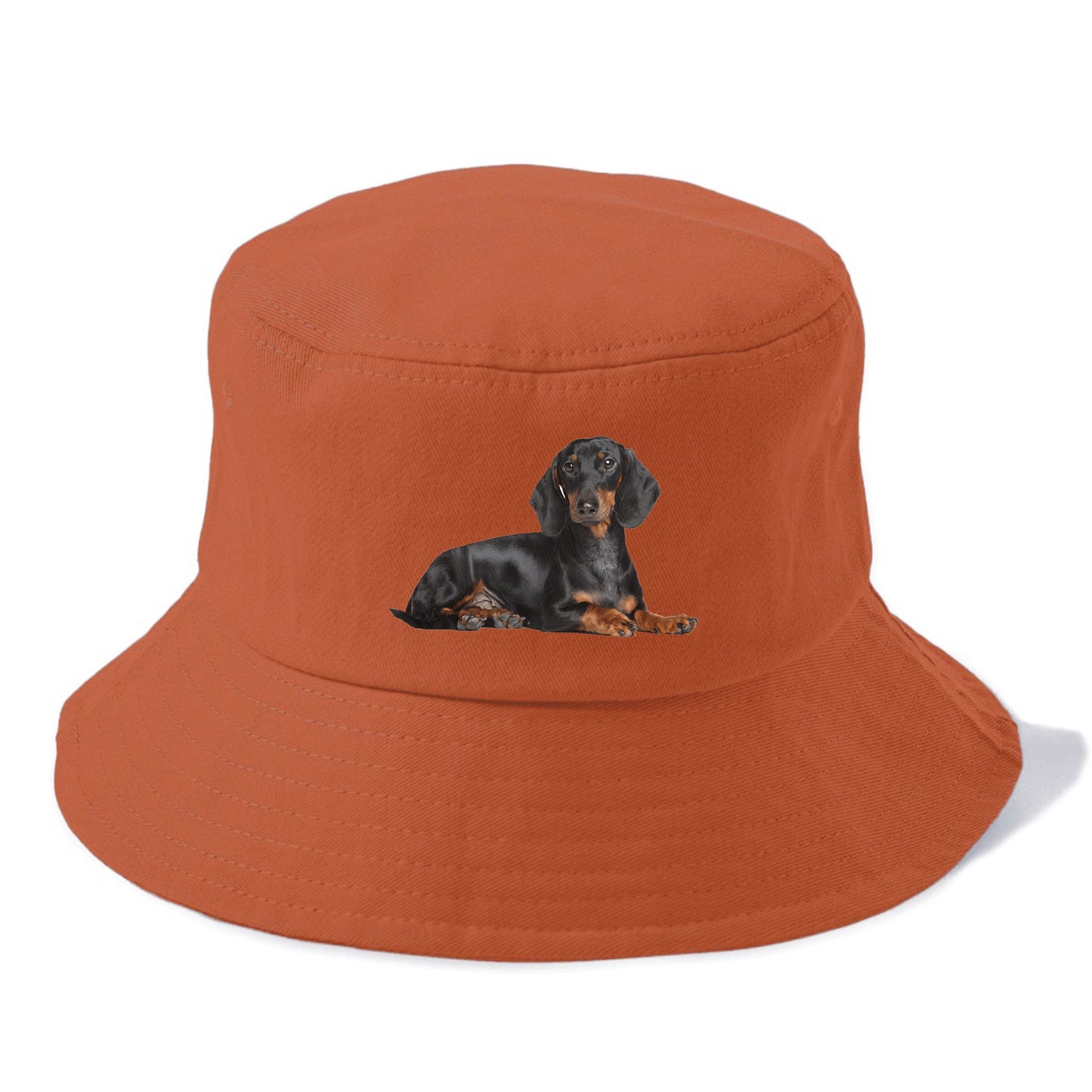 dachshund Hat