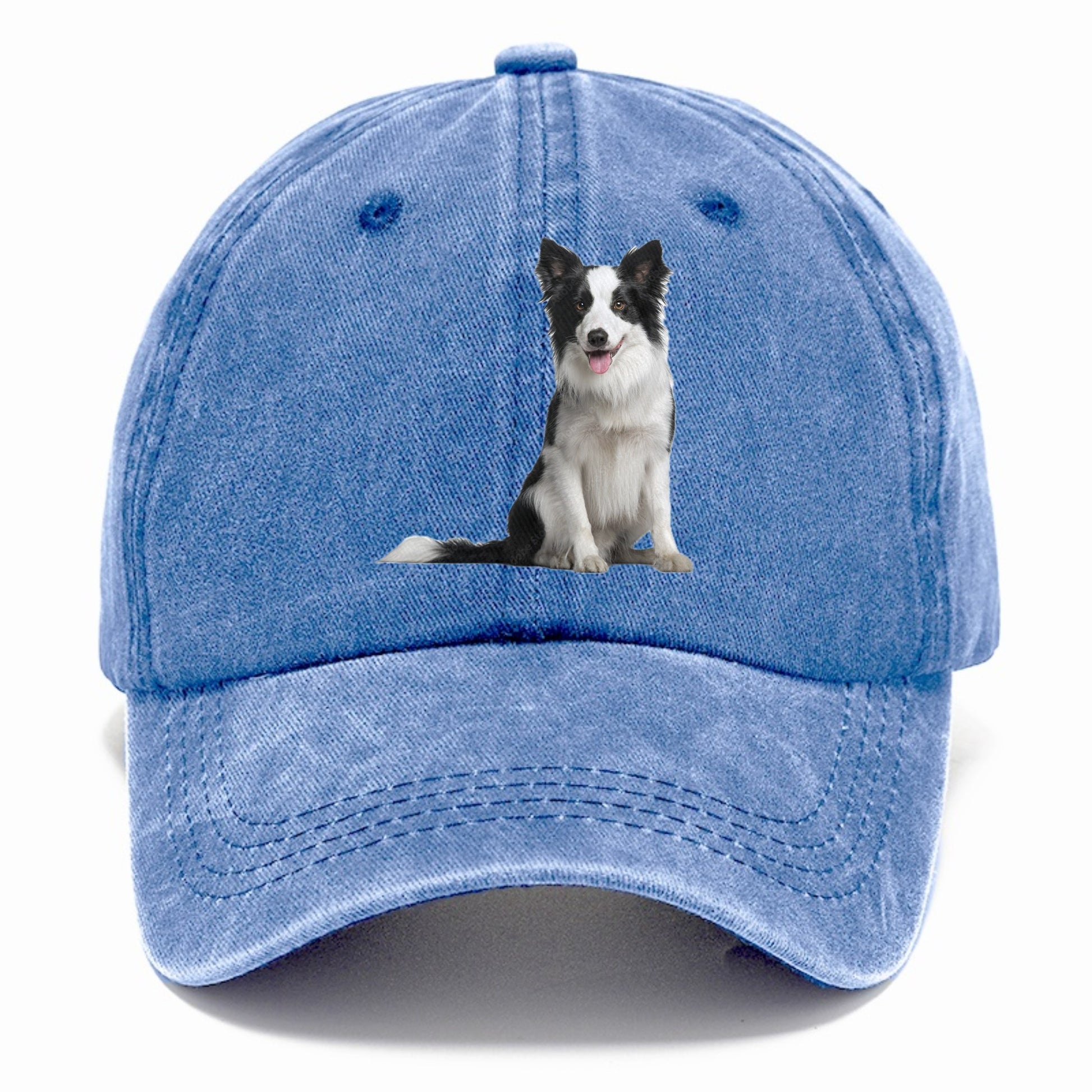 Border Collie Hat