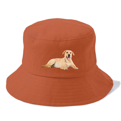 Labrador laying down Hat