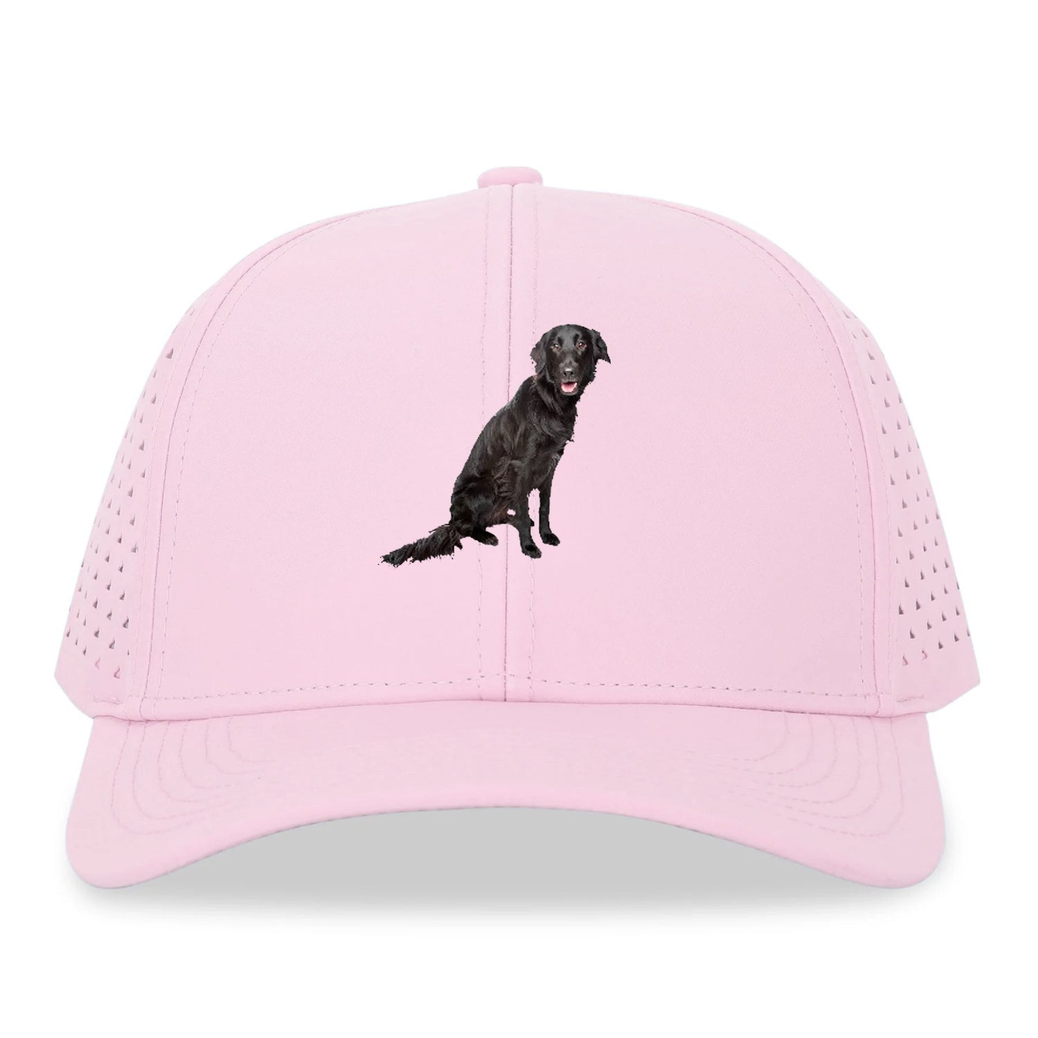 FlatCoated Retriever Hat