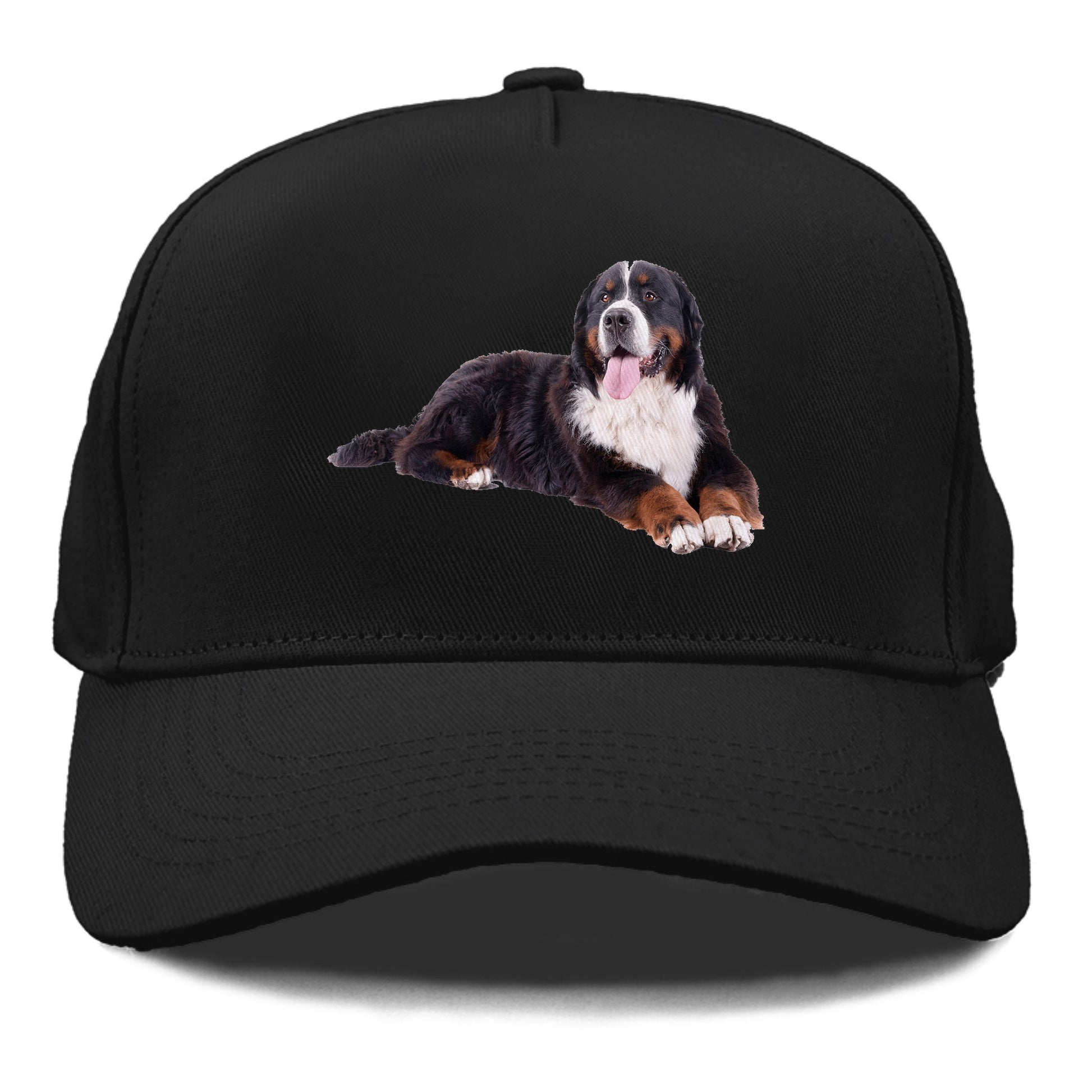 bernese mountain dog Hat