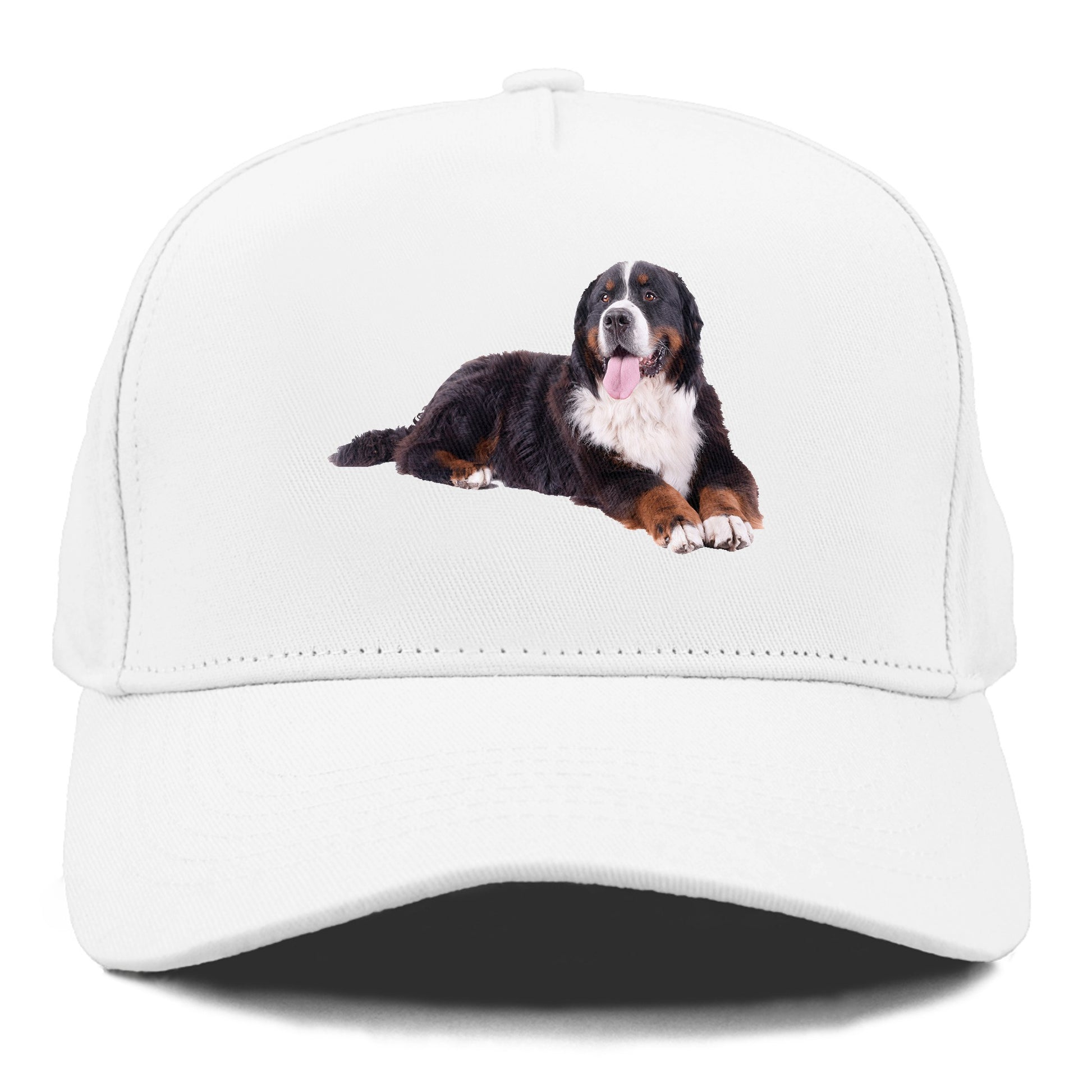 bernese mountain dog Hat