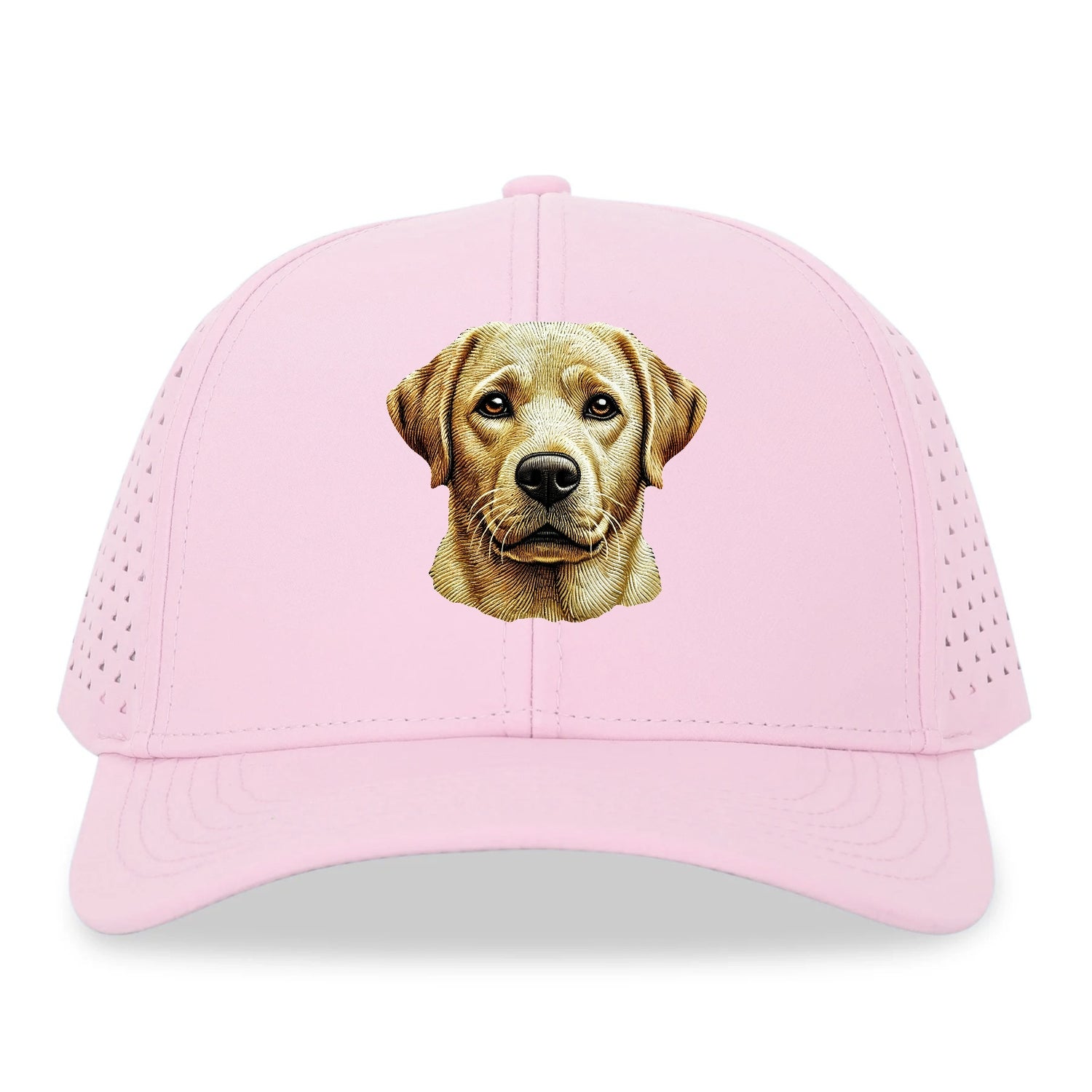 Labrador Retriever_ Hat