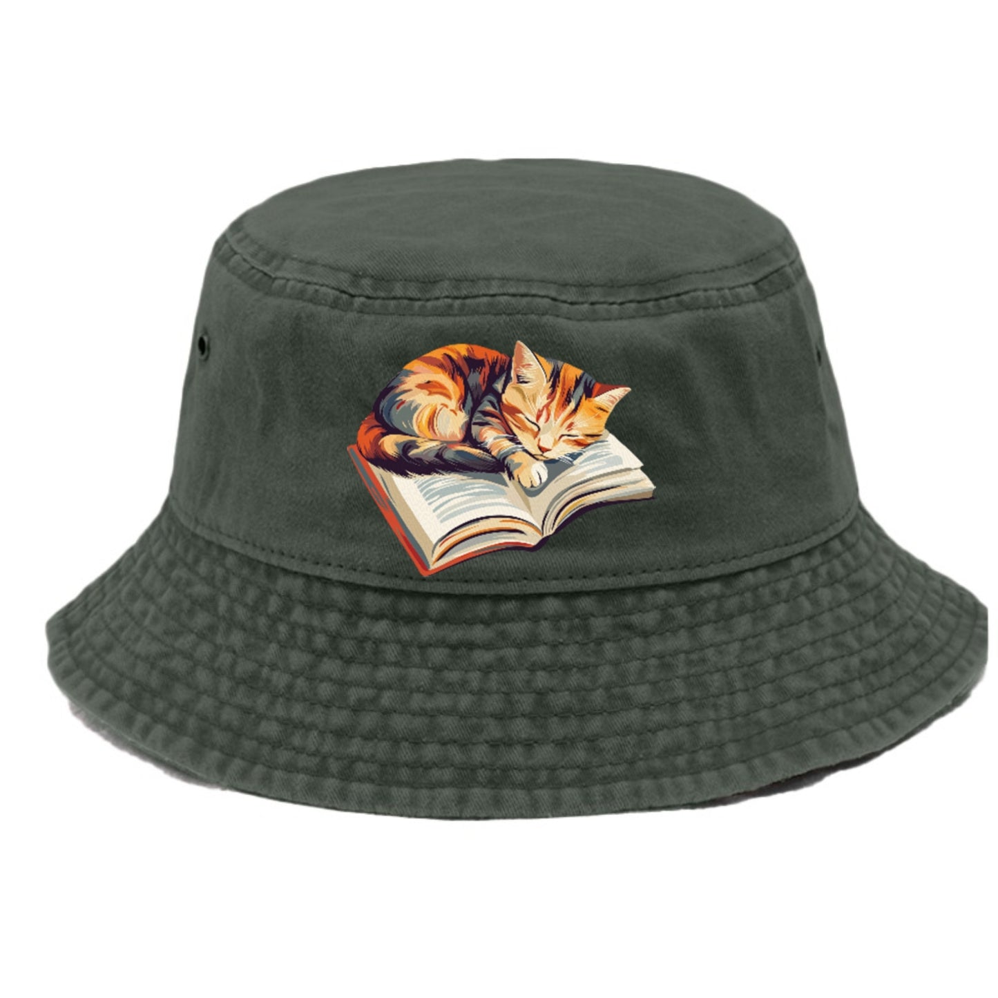 Cat Nap on Book Hat