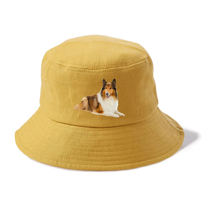 Rough Collie Hat