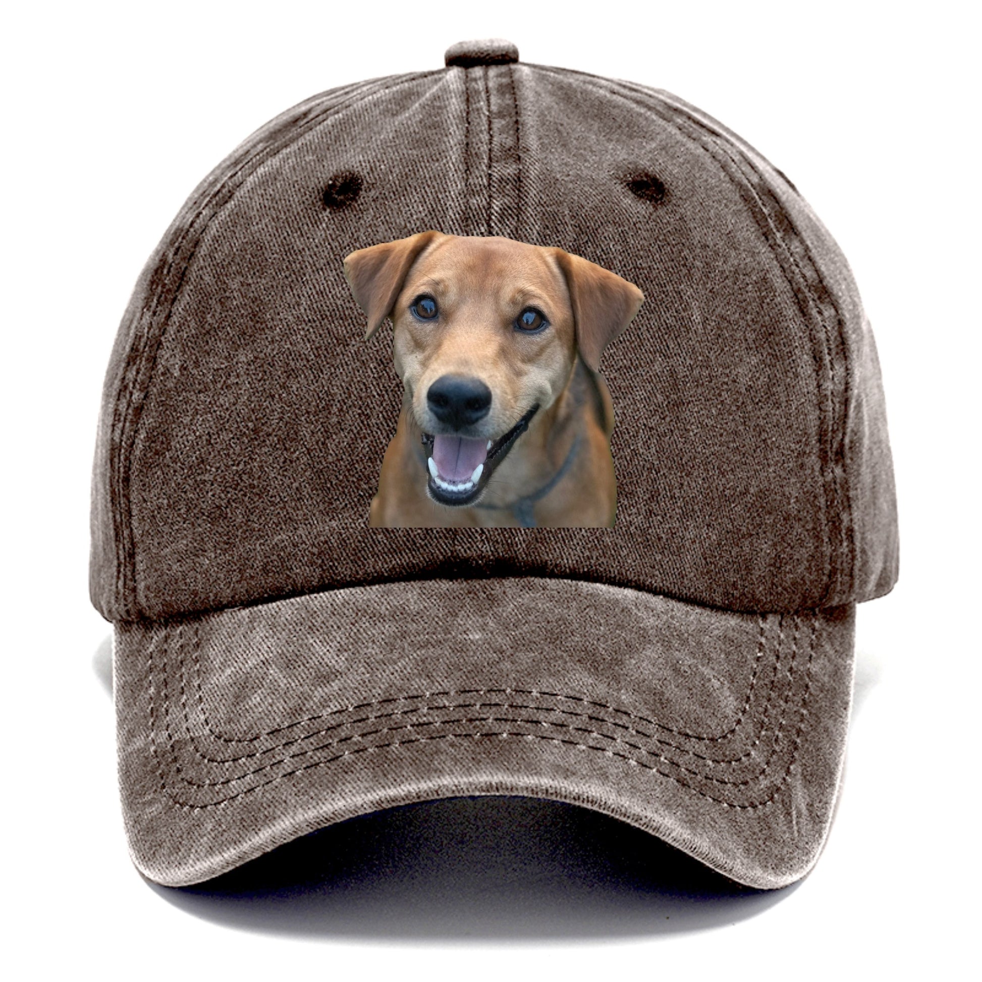 Labrador Hat