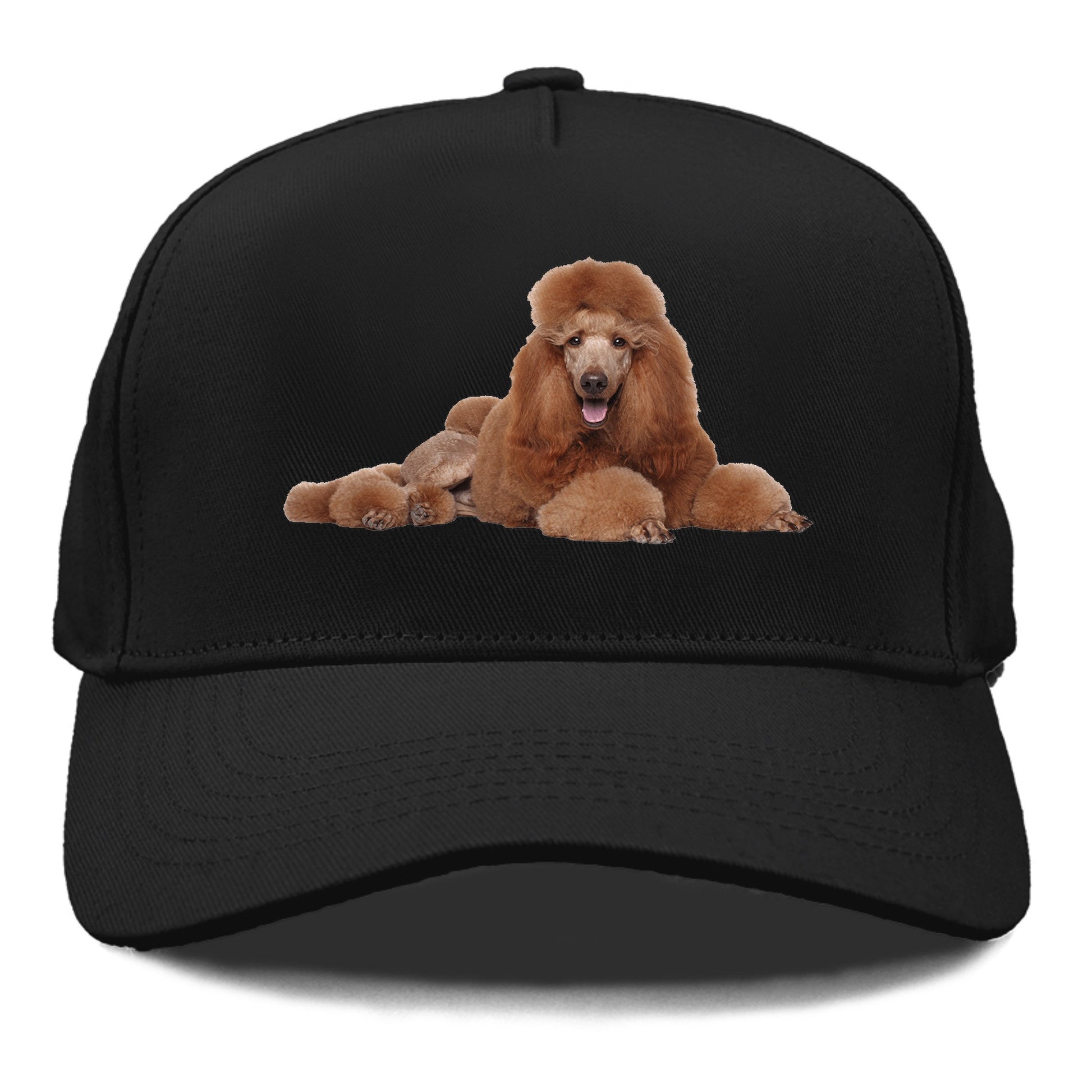 standard poodle Hat