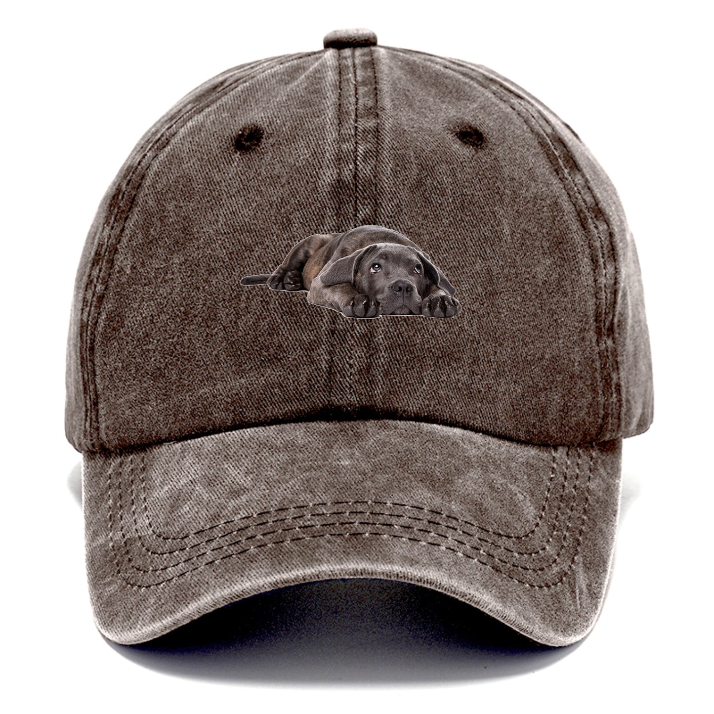 cane corso Hat