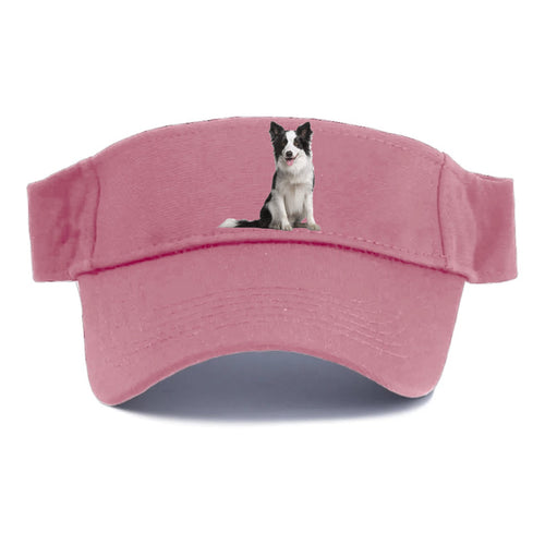 Border Collie Visor