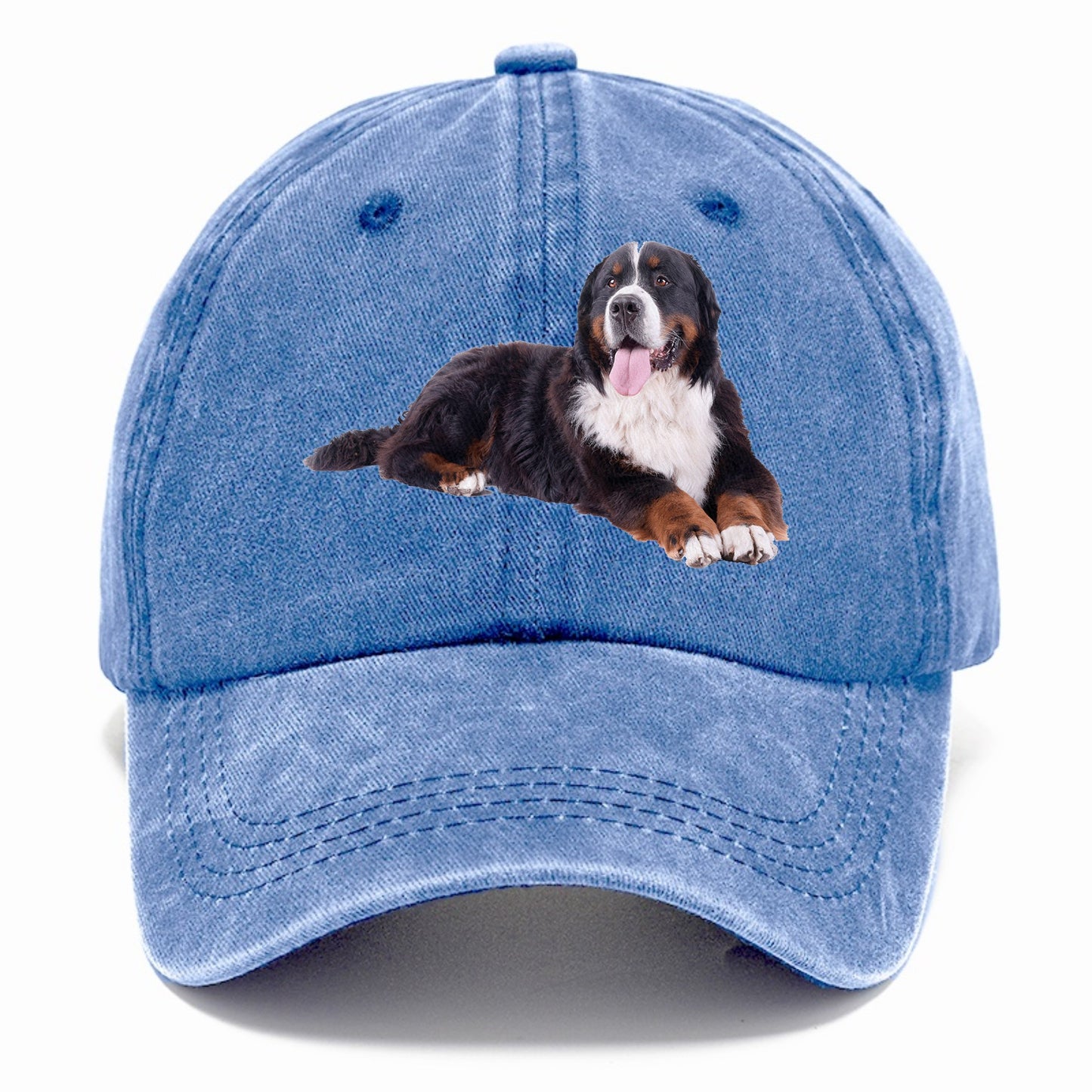 bernese mountain dog Hat