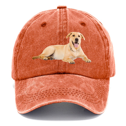 Labrador laying down Hat