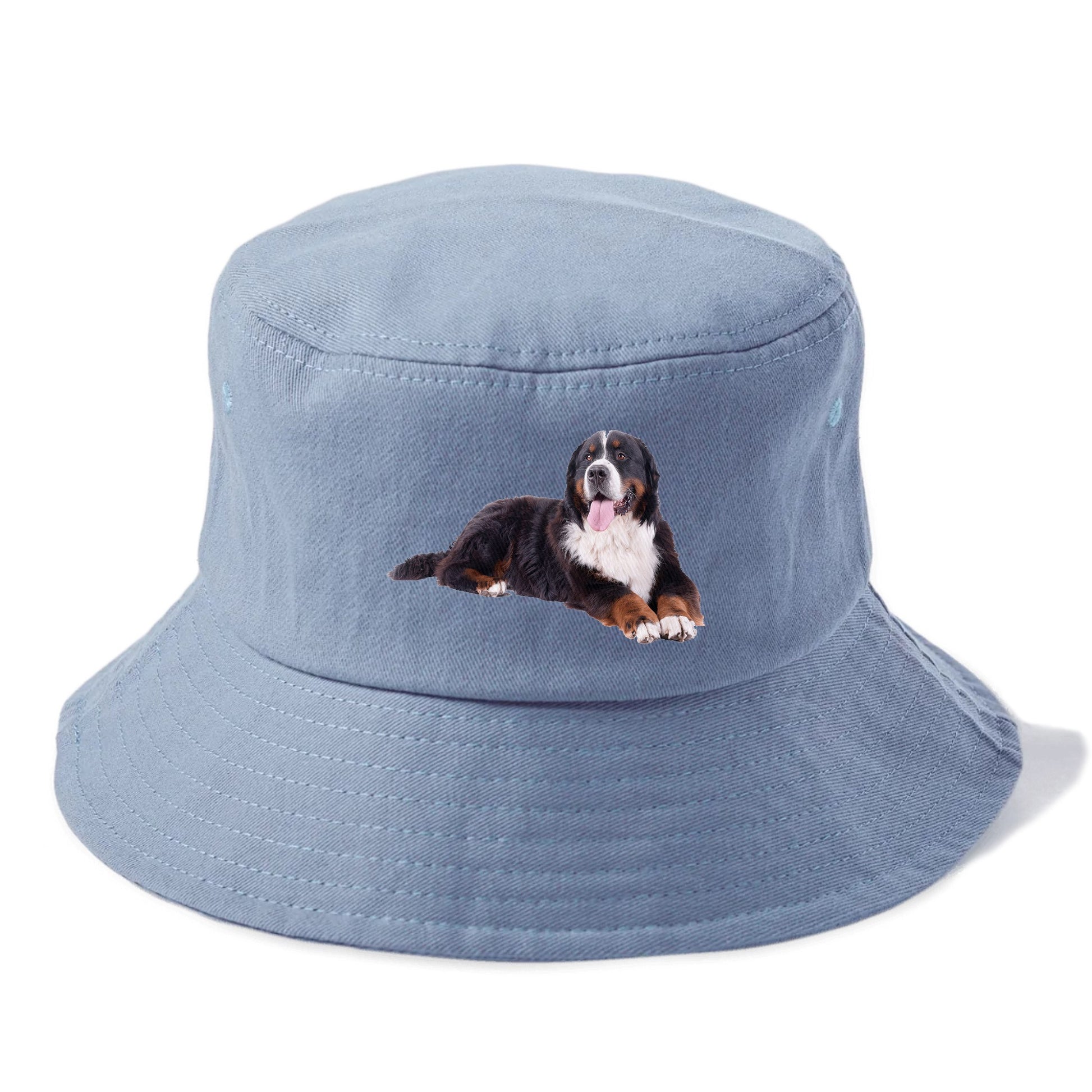 bernese mountain dog Hat