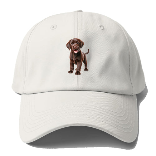 Chocolate Labrador Baseball Cap