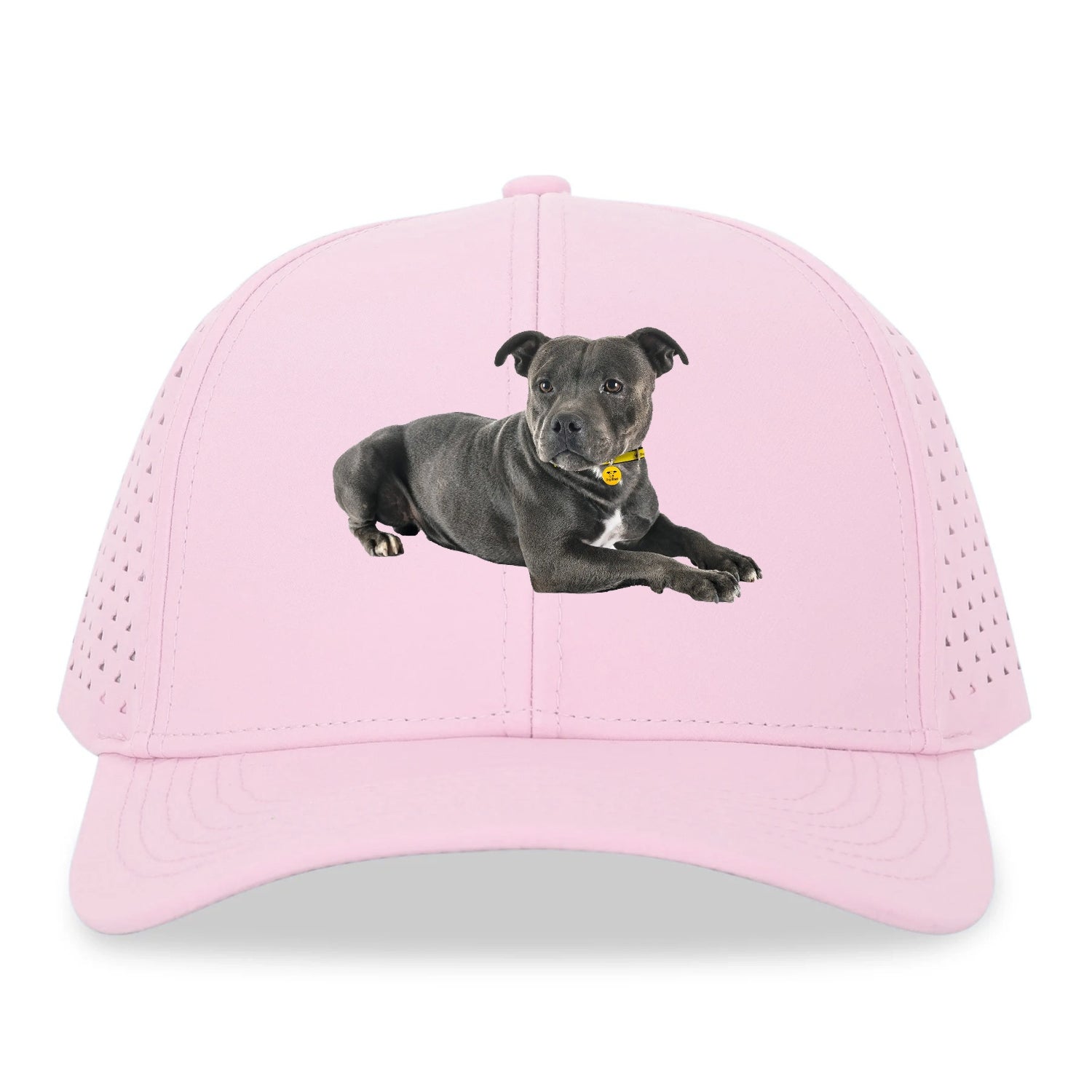 Staffordshire Bull Terrier Hat