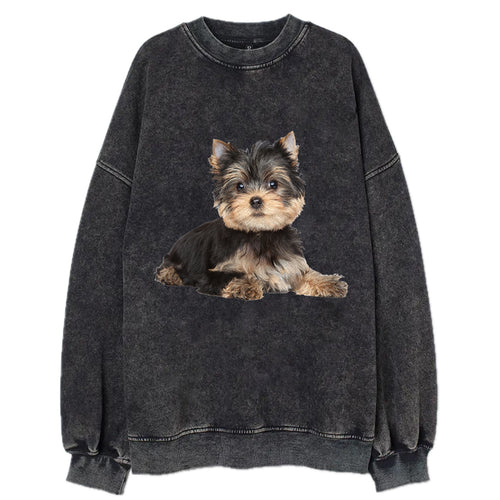 Yorkshire Terrier Vintage Sweatshirt