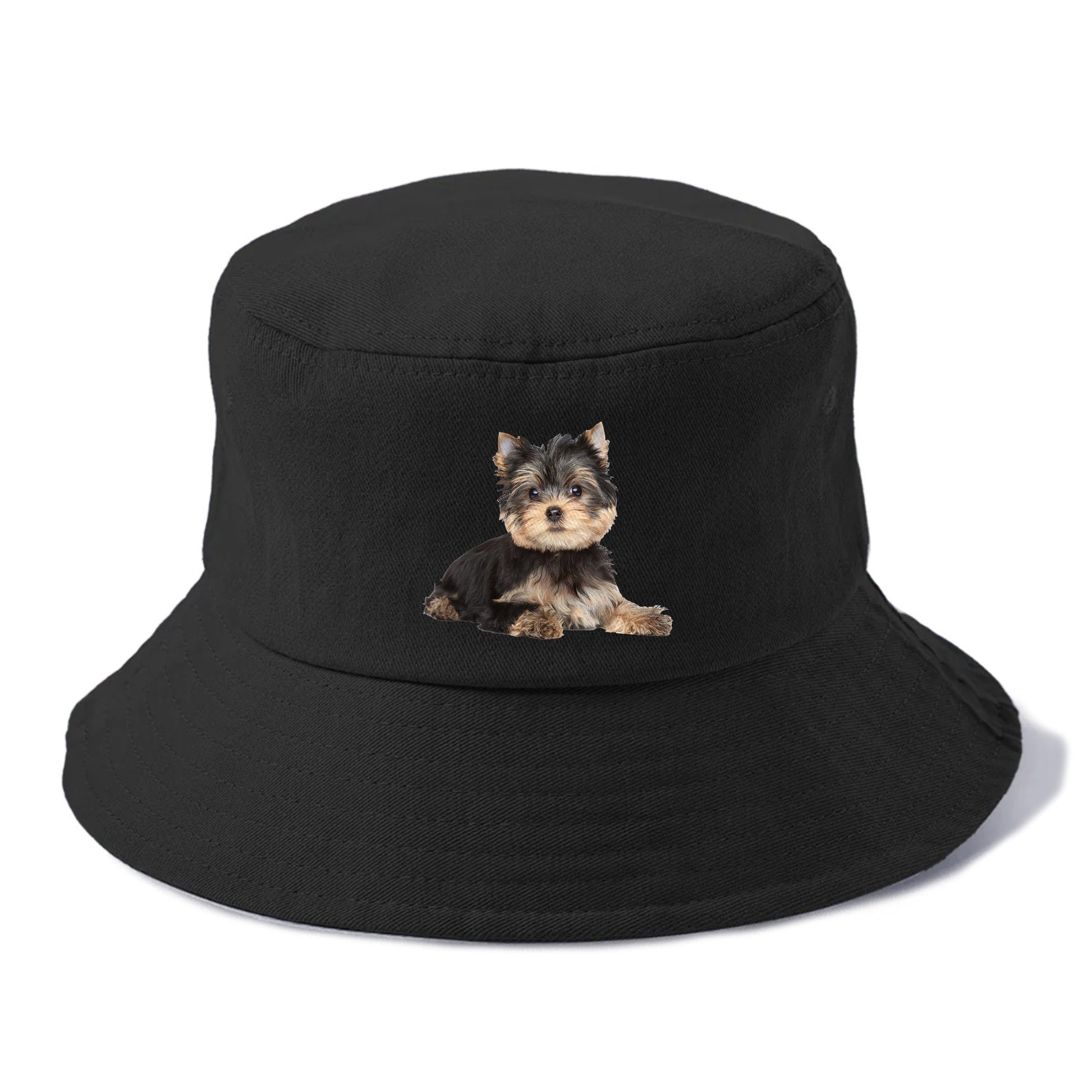 Yorkshire terrier Hat