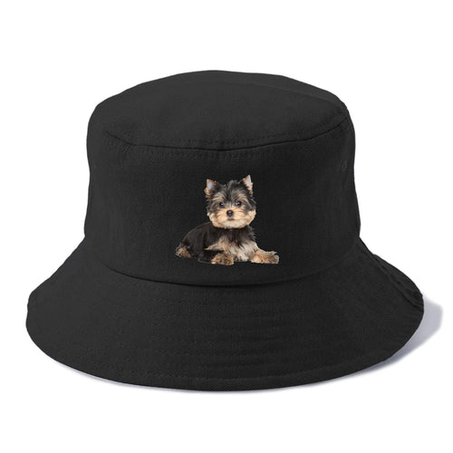 Yorkshire Terrier Bucket Hat