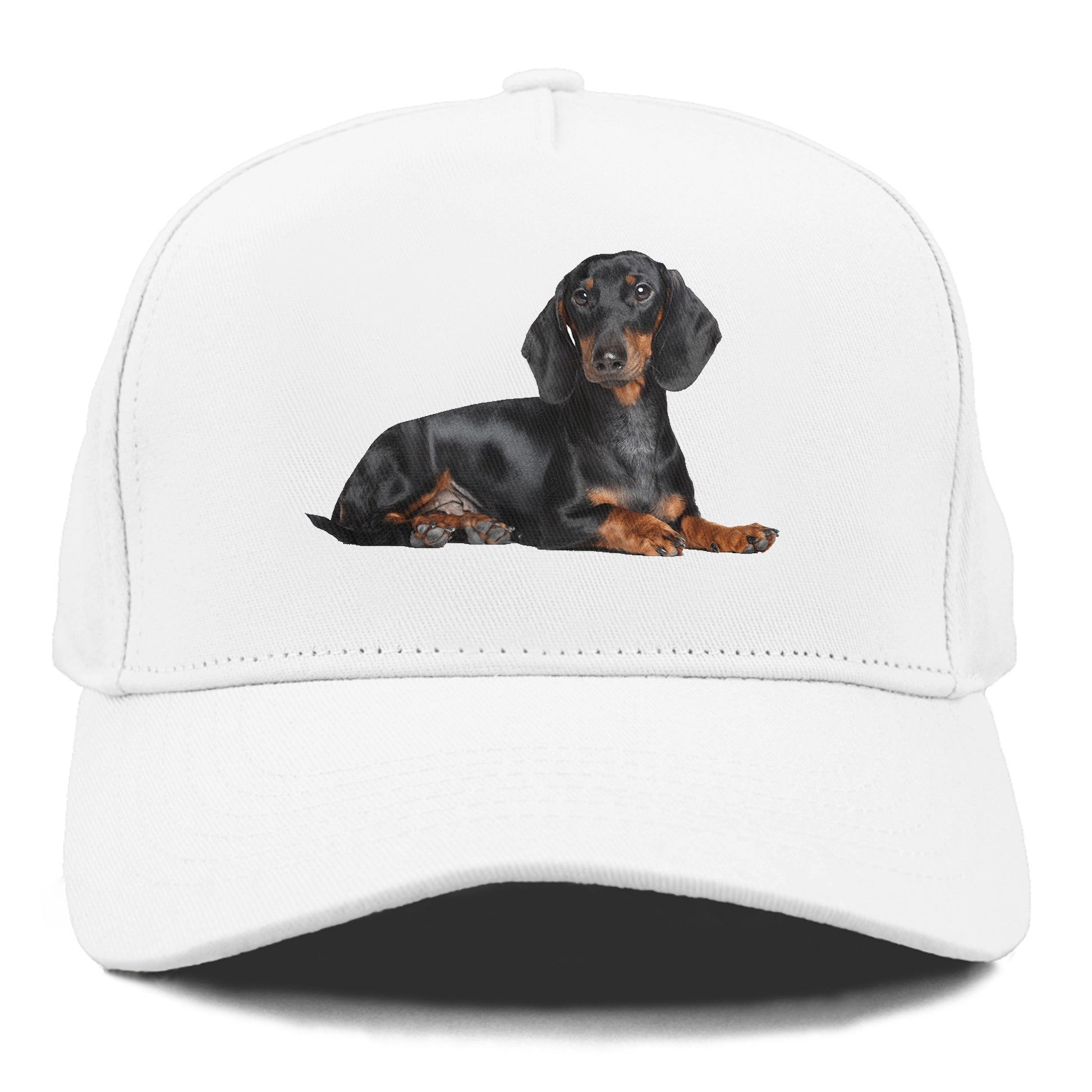 dachshund Hat