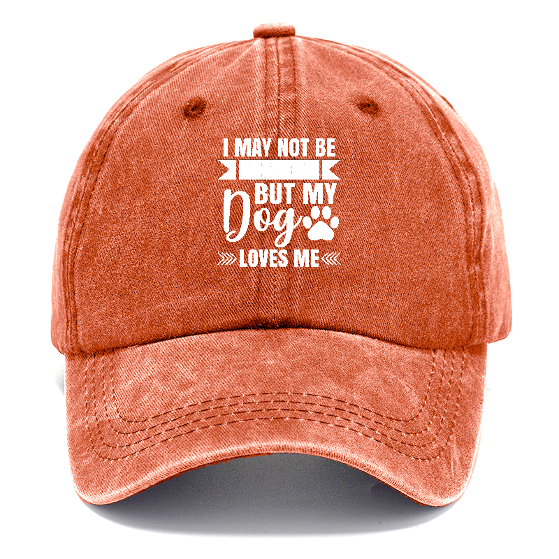 I may not be perfect but my dog loves me Hat