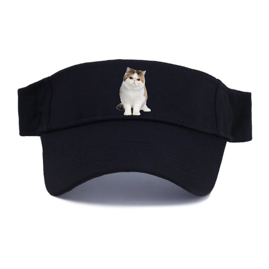 exotic shorthair Hat