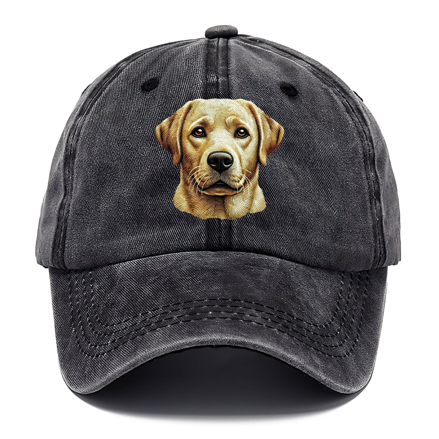 Labrador Retriever_ Hat