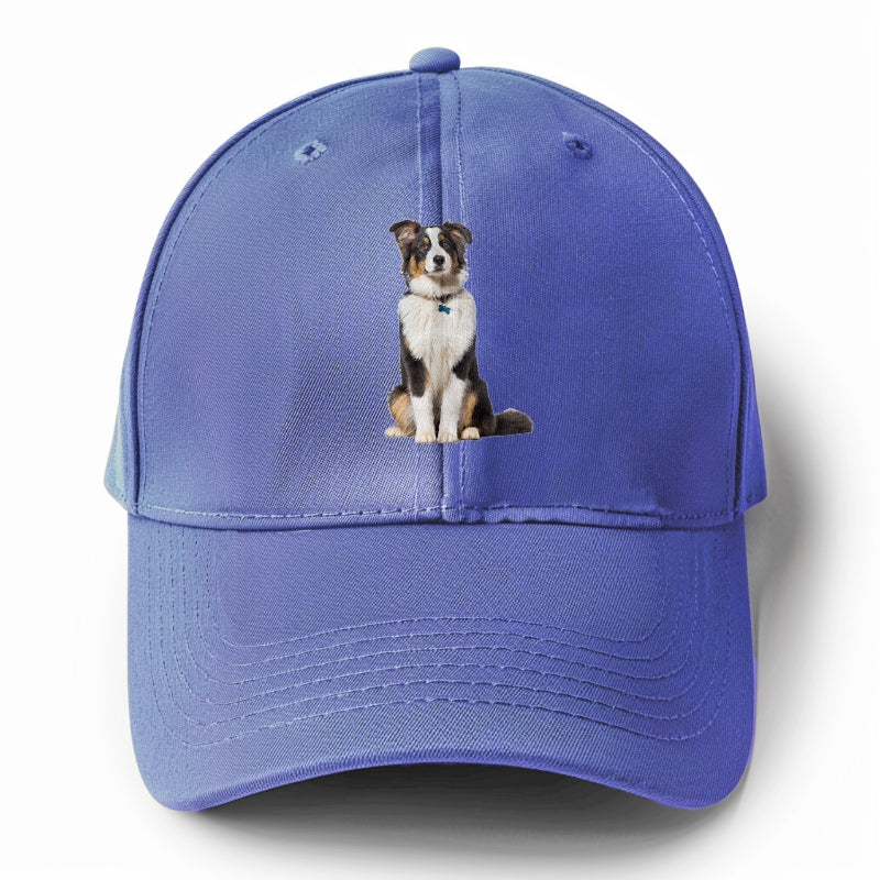 Attentive Australian Shepherd sitting upright Hat