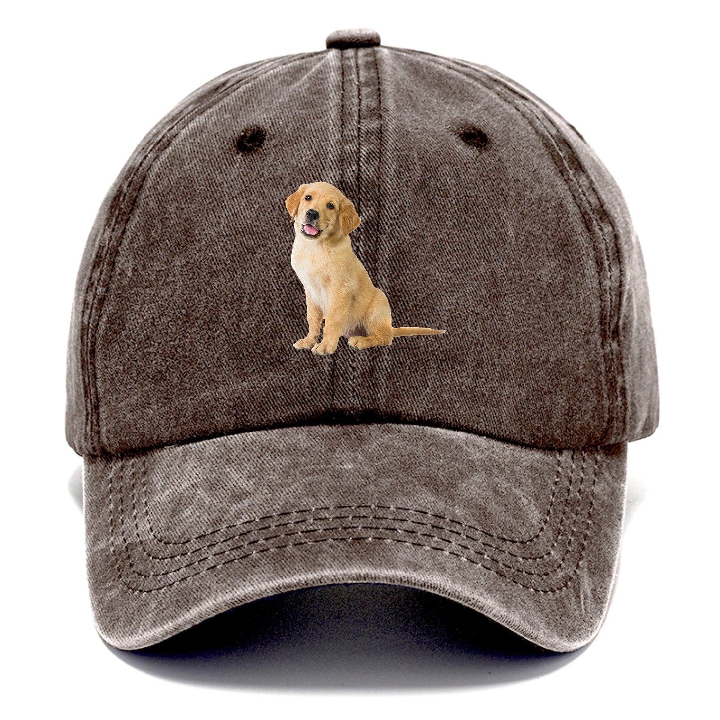 Playful golden pup with a cheerful expression Hat