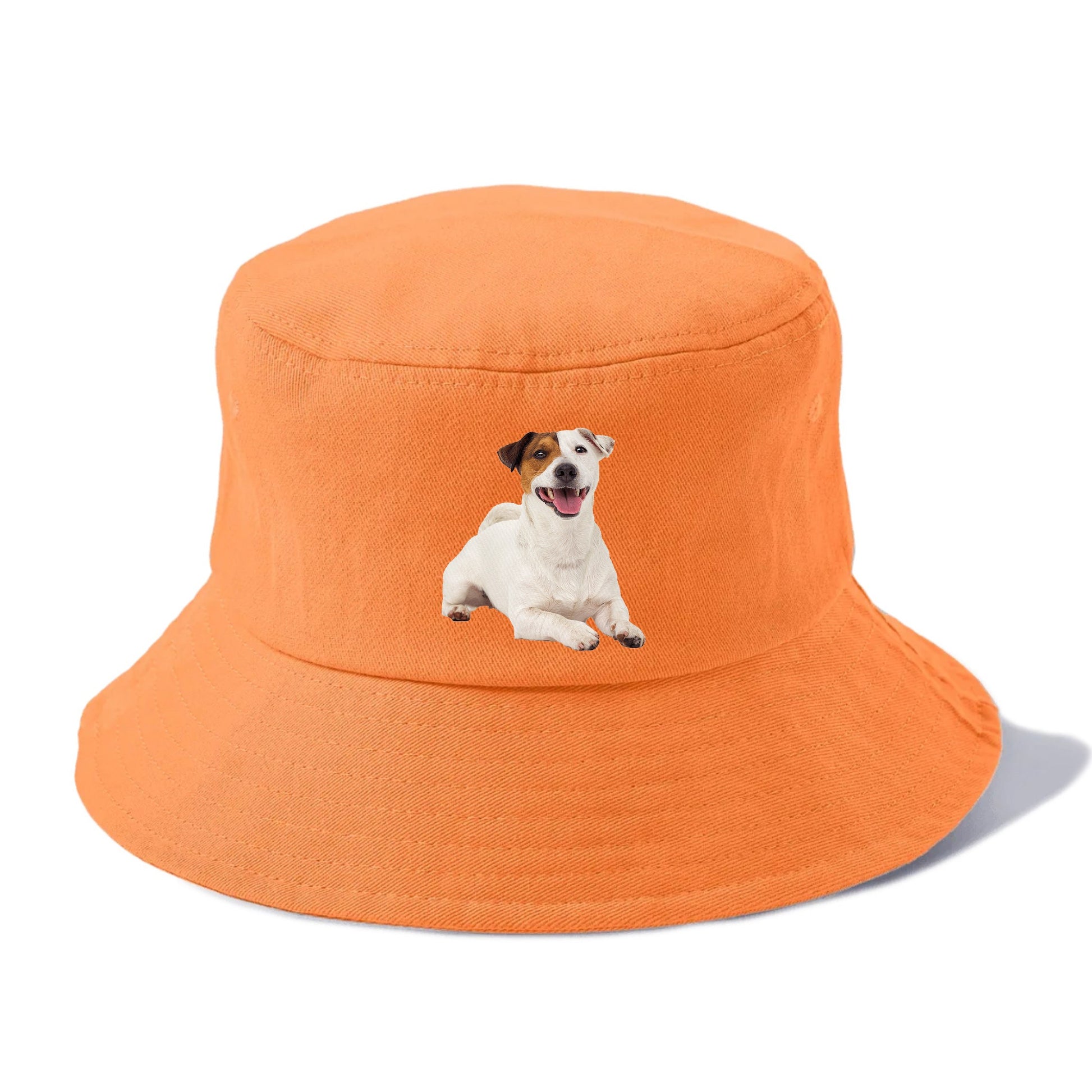 jack russell terrier dog Hat