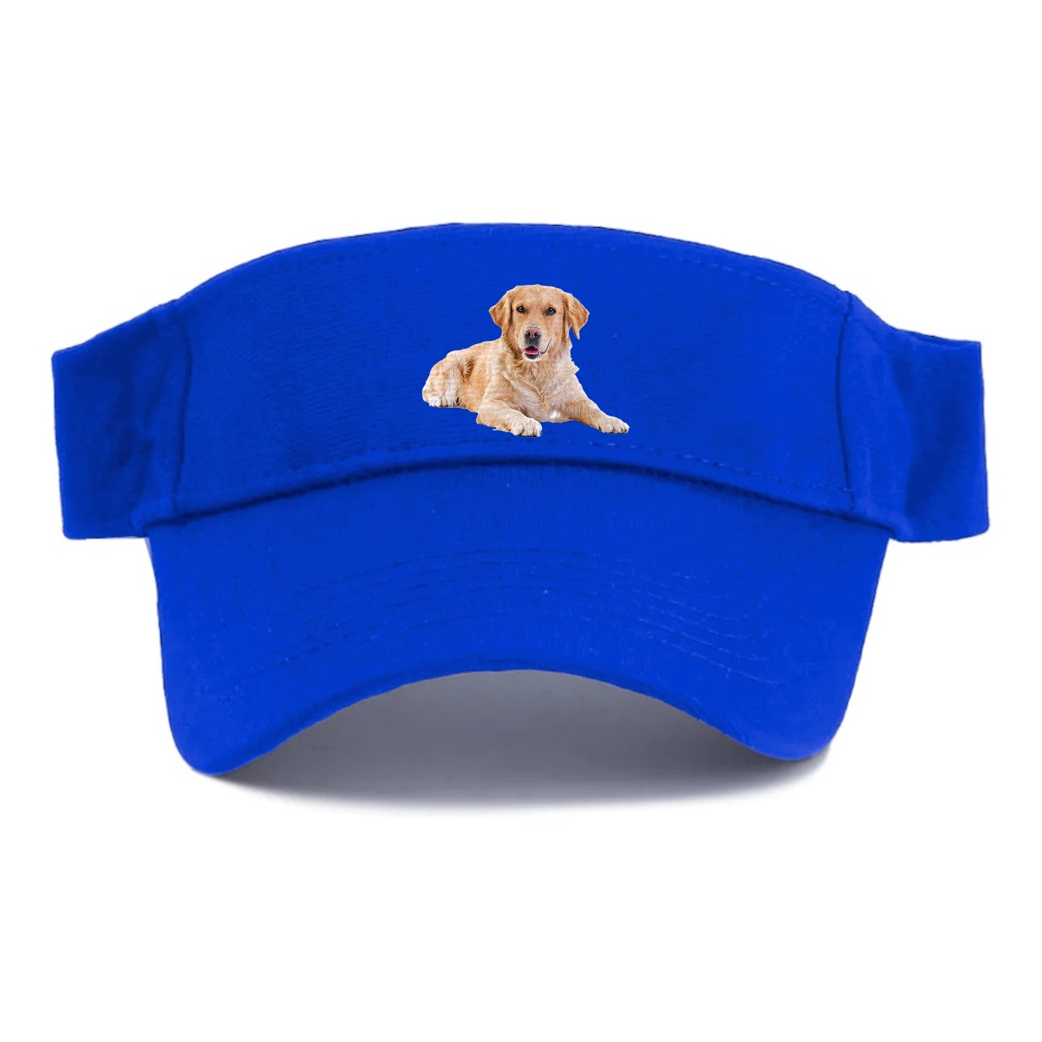 Golden Retriever laying down Hat