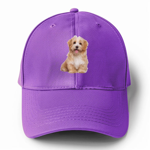 Adorable Shih Tzu Solid Color Baseball Cap