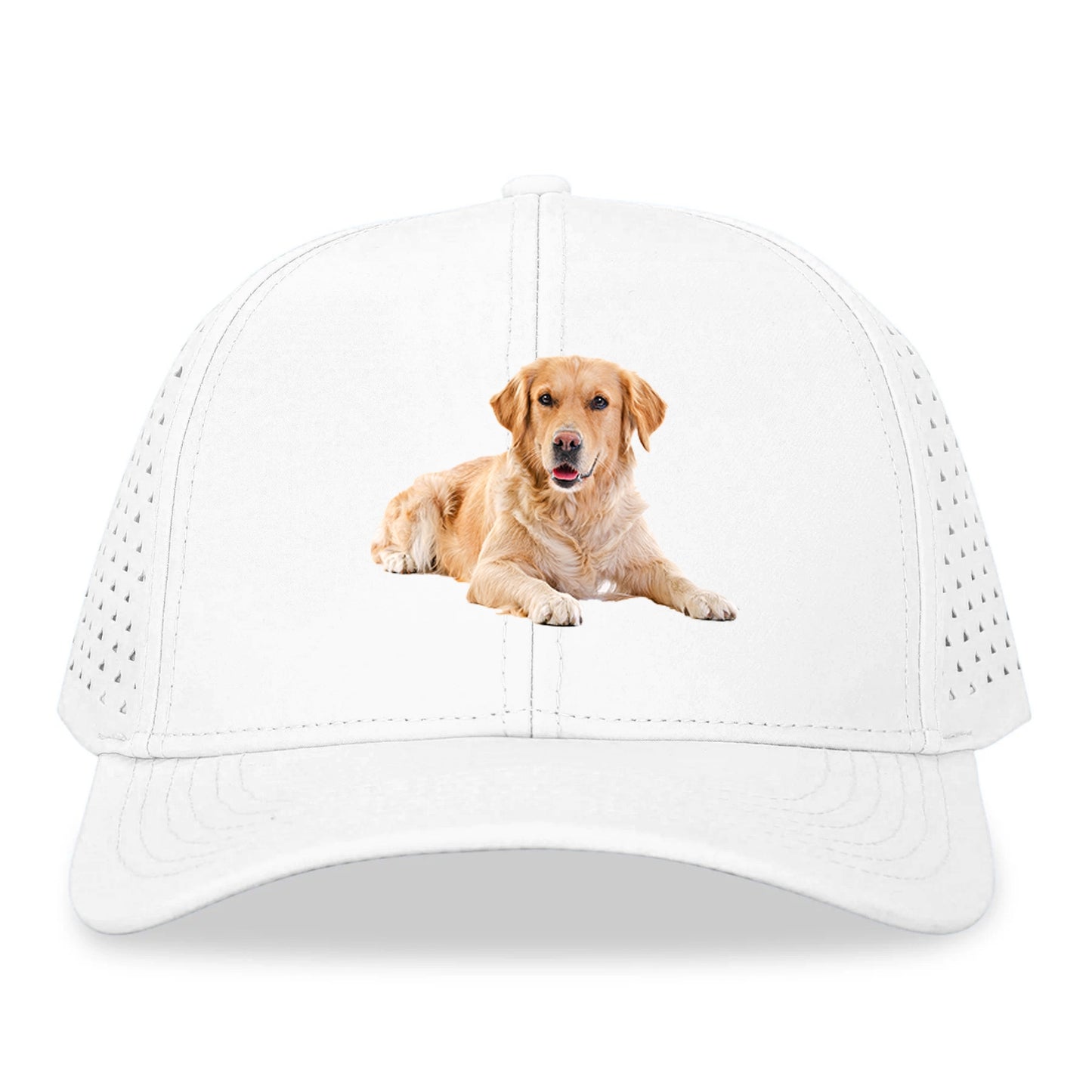 Golden Retriever Hat