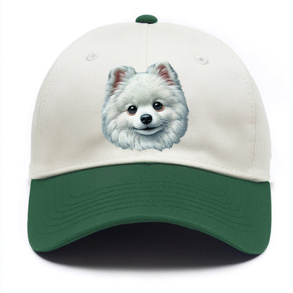 Pomeranian Hat