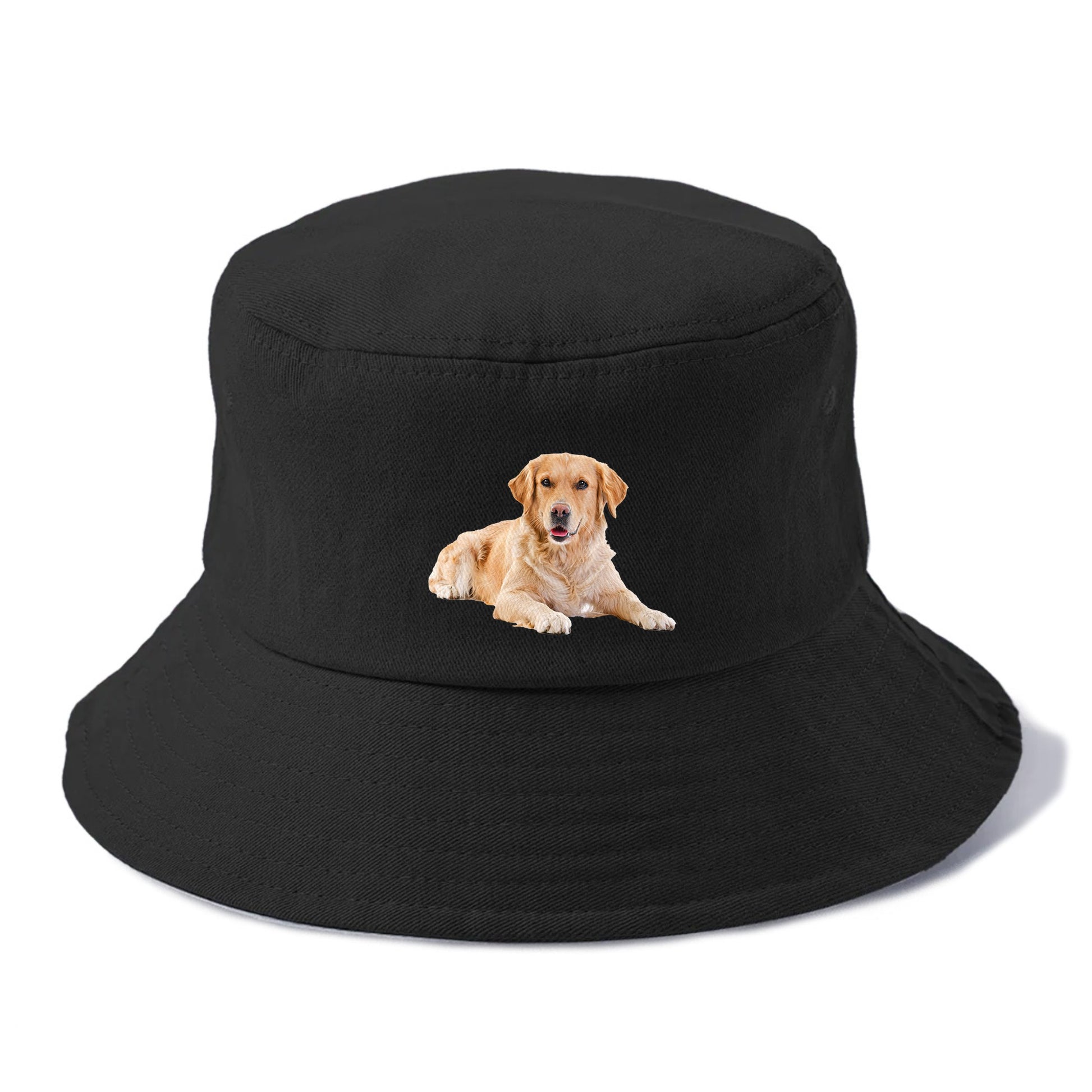 Golden Retriever laying dow Hat