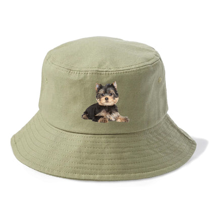 Yorkshire terrier Hat