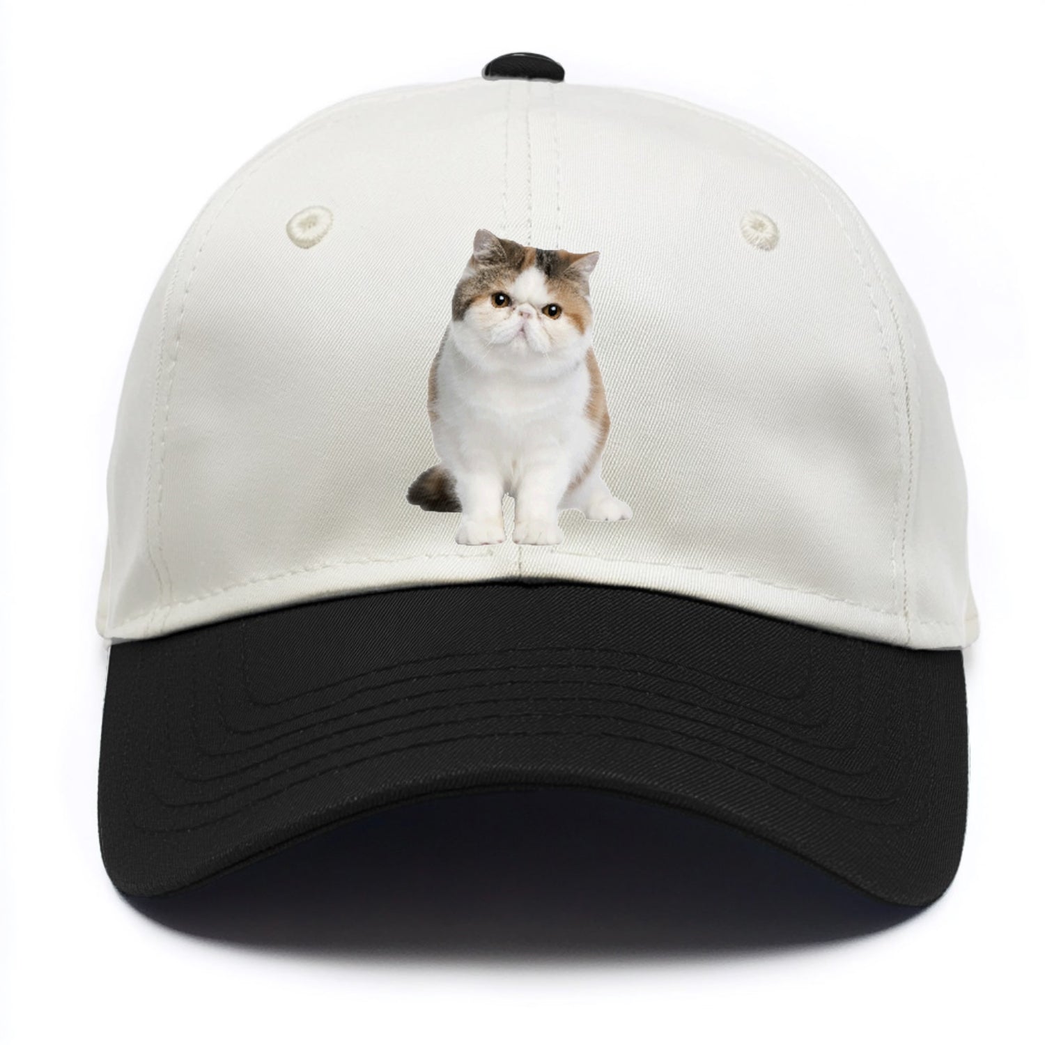 exotic shorthair Hat