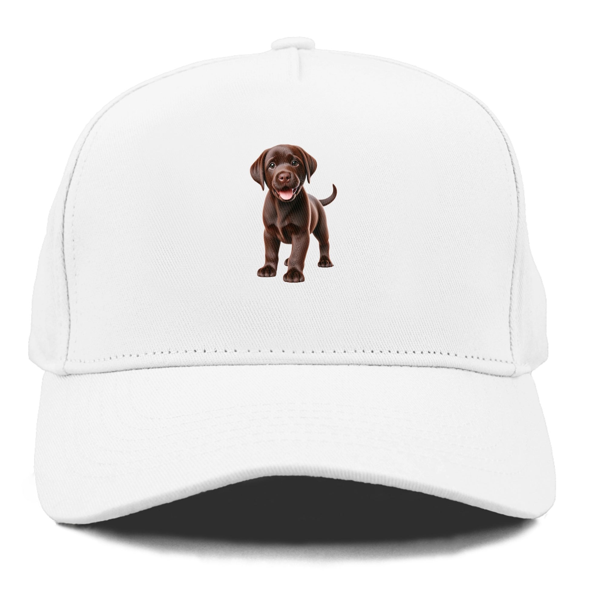 chocolate labrador Hat