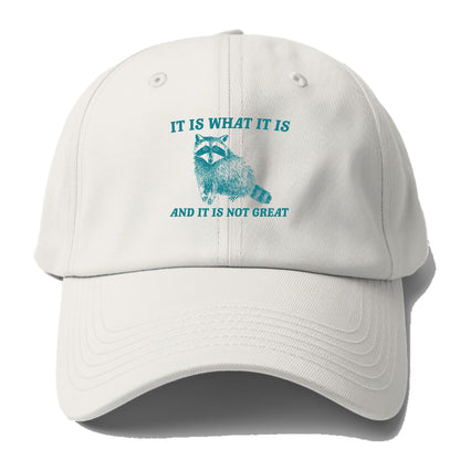 it is what it is Hat