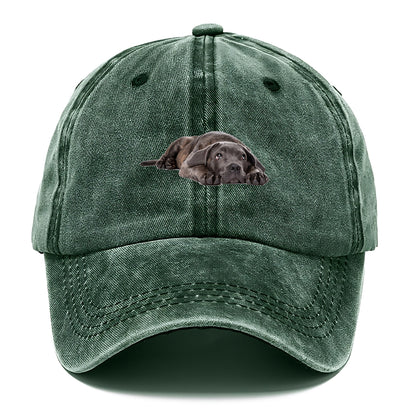 cane corso Hat