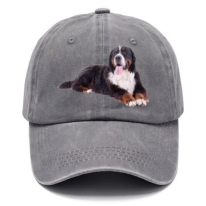 bernese mountain dog Hat