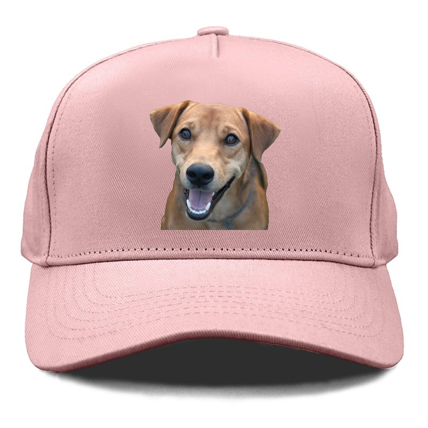 Labrador Hat