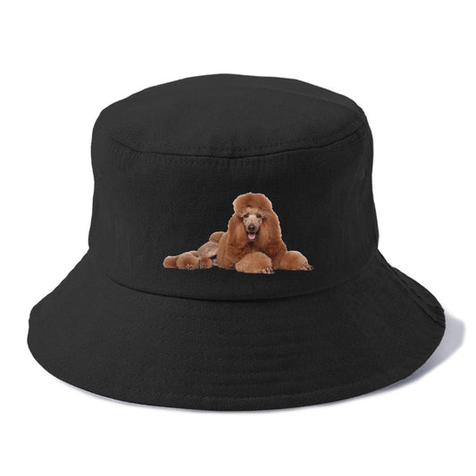 standard poodle Hat